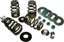 Buell S 2 T 1200 Thunderbolt [1995] - Endurance Beehive® valve springs with titanium spring plates - picture 4
