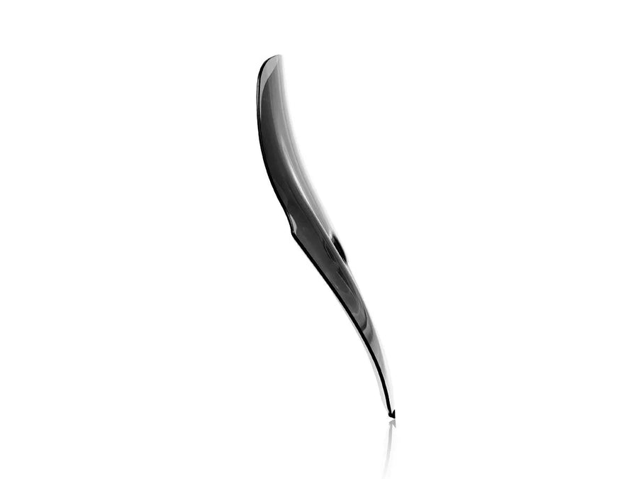 ducati diavel [WRS] – windshield