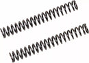Ducati 916 [Ohlins] -Fork Springs pour FGK Kartuschen-Kit-1