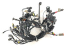 Ducati Multistrada 1000 DS [2003] - Wiring harness main wiring harness-2