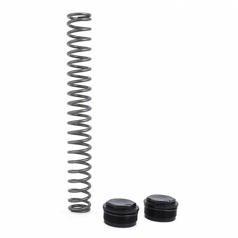 BMW R nineT 1200 Racer [2017-2020] - Öhlins NIX 22 mm Gabelkartusche (2017-2023)