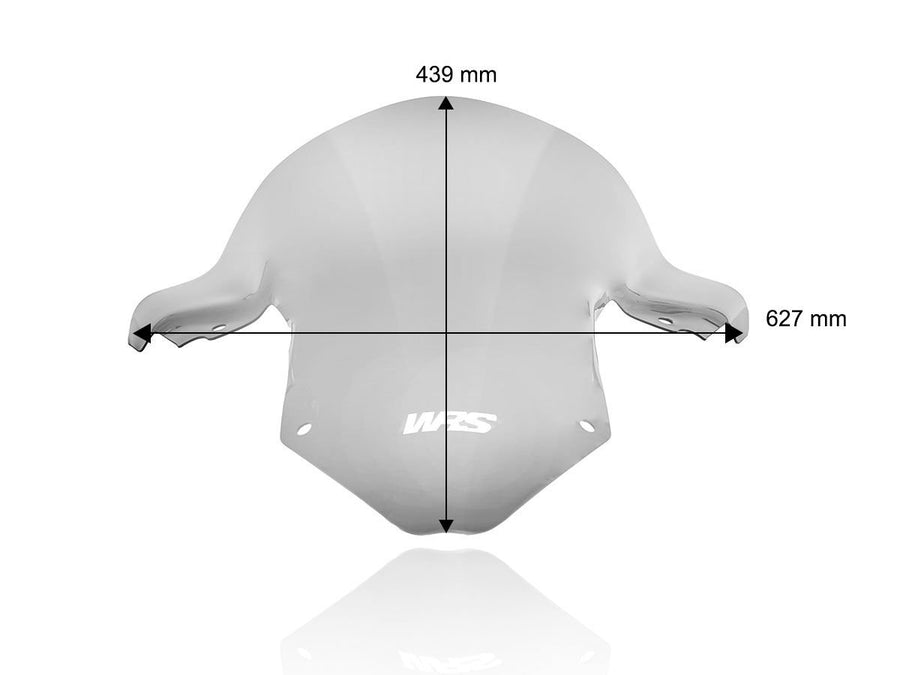 BMW S 1000 RR [2025-2025] - Racing Windschild hoch – Ansicht 11
