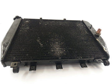Kawasaki ZX-12R ZXT20A [2004] - Radiateur de refroidissement à eau - 0