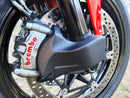 Ducati Panigale 1199 S [2012-2014] - Bremskühlkanäle – Ansicht 5